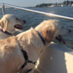 Meet your Posher, Marion